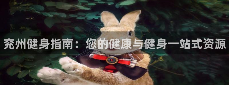 尊龙官方平台